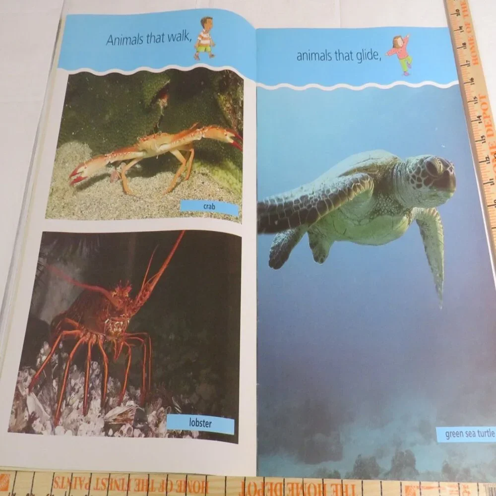 Under the Sea  BIG BOOK (almost 2 feet tall) with teacher pages CLASSROOM SIZE